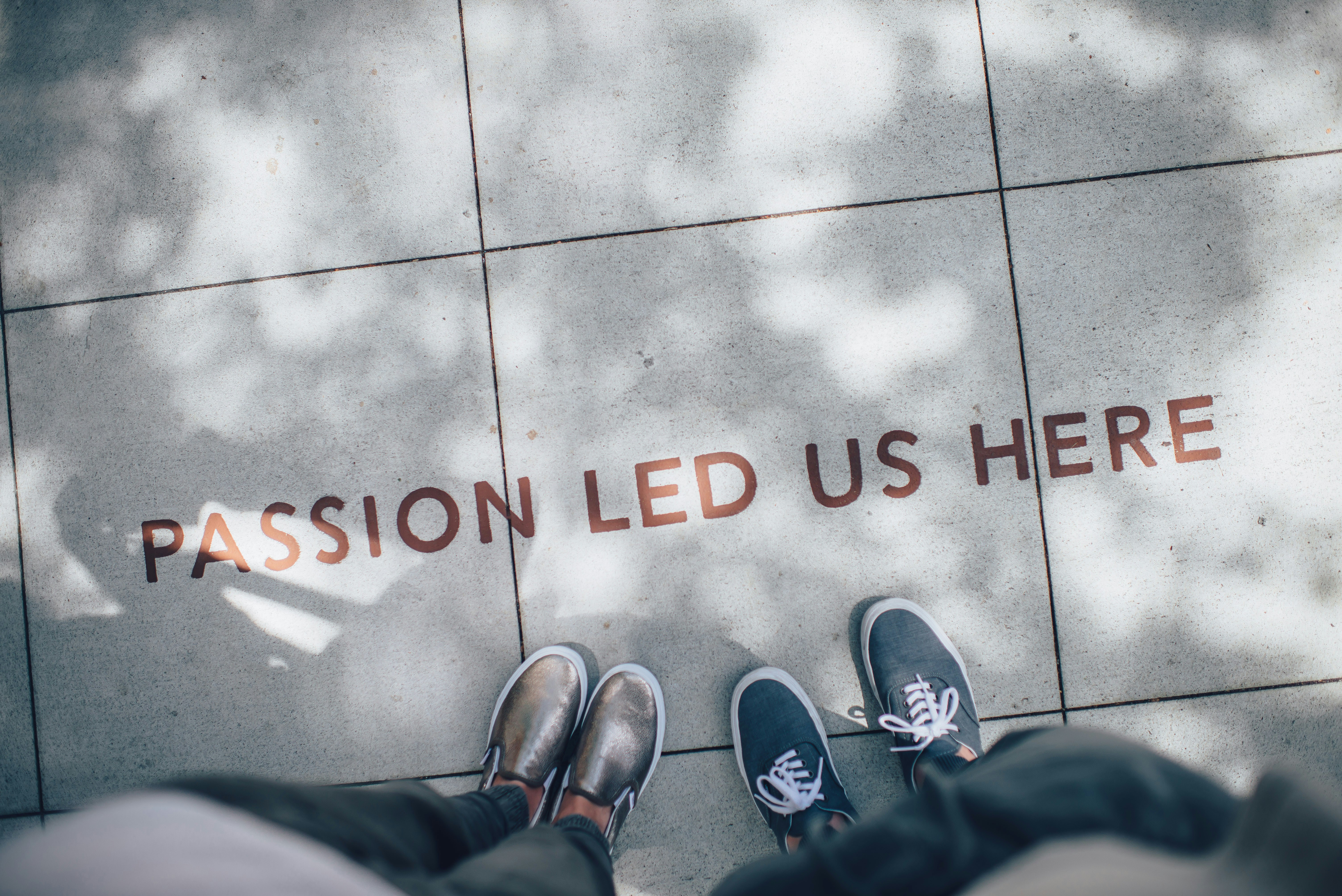 campaign-creators-TamMbr4okv4-unsplash.jpg